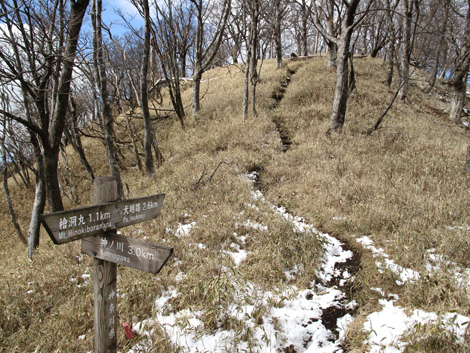 20160218hike (327)